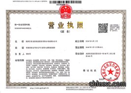 警视安营业执照